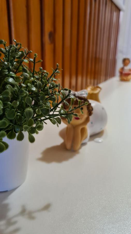 Vitorlas Apartman シャールヴァール エクステリア 写真